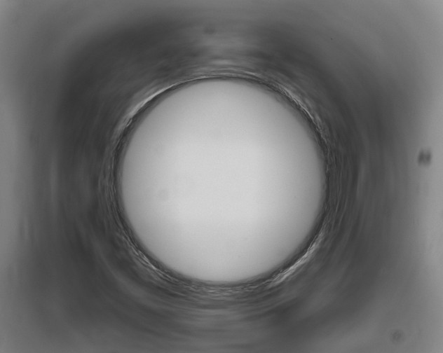 X0000095961453200801110935