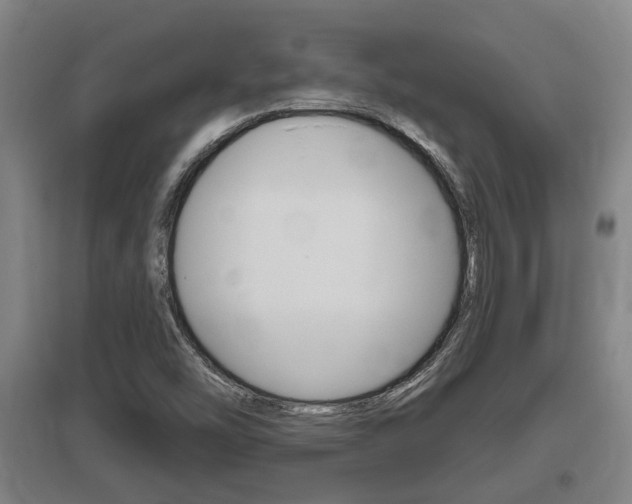 X0000095961454200801110935