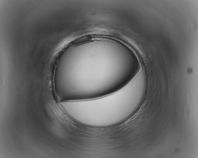 X0000095961455200801110935