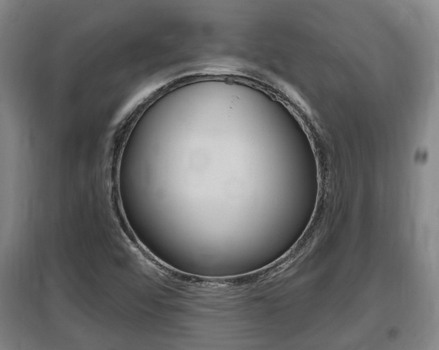 X0000095961456200801110935
