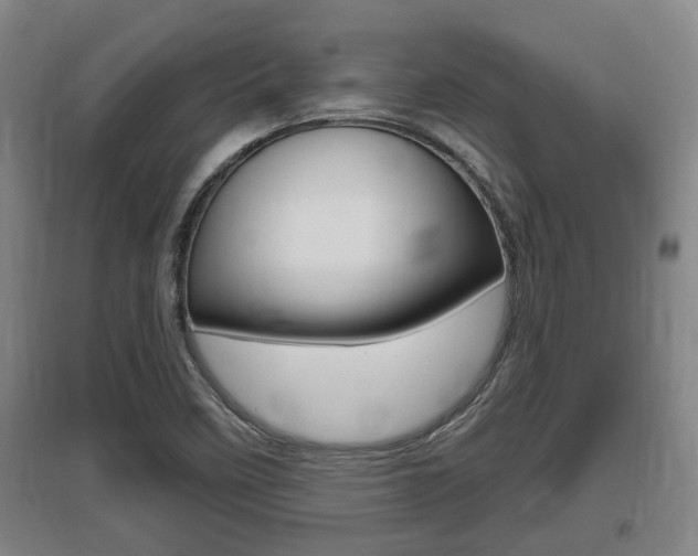X0000095961458200801110935