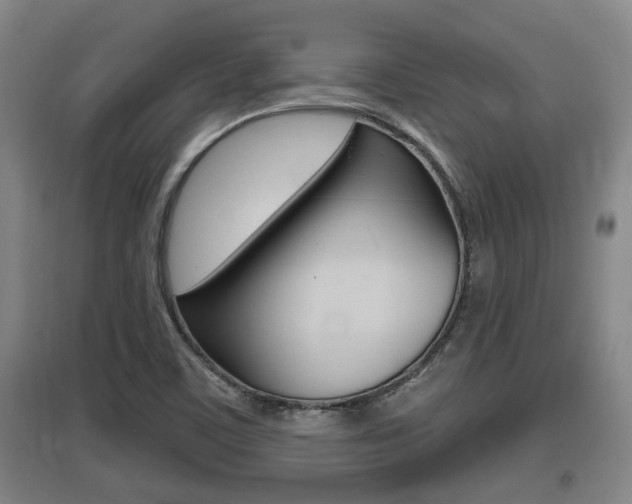 X0000095961459200801110935