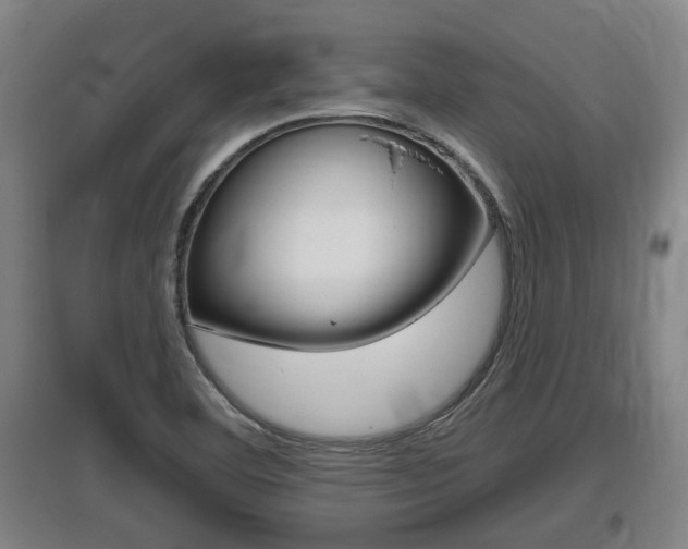 X0000095961460200801110935