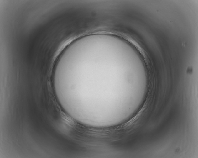 X0000095961461200801110934