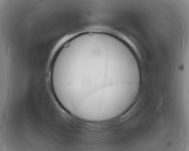 X0000095961462200801110934