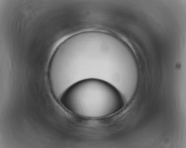 X0000095961463200801110934
