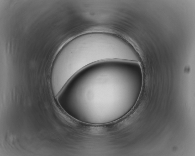 X0000095961465200801110934