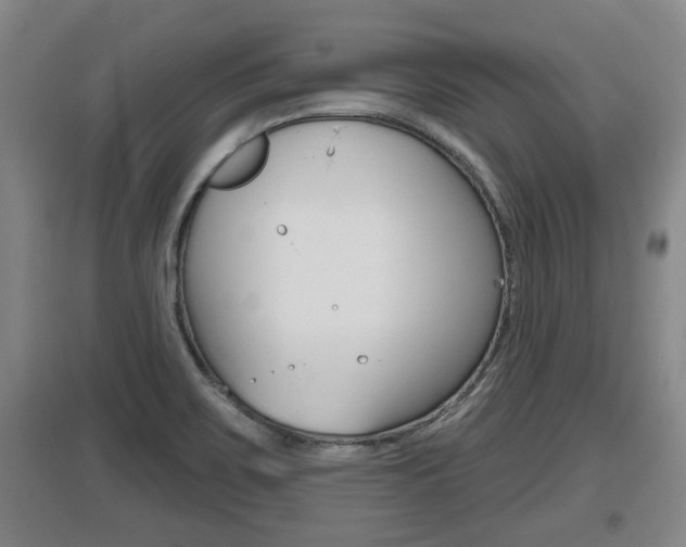 X0000095961467200801110934