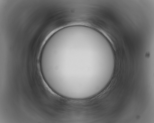 X0000095961468200801110934
