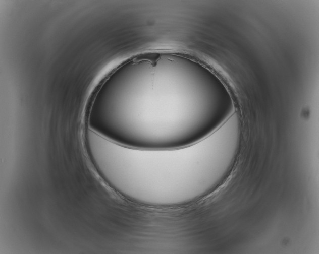 X0000095961469200801110934