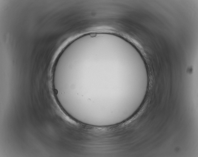 X0000095961470200801110934