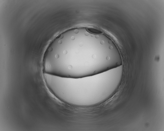 X0000095961471200801110934
