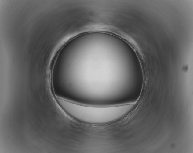 X0000095961472200801110934