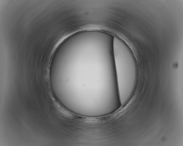 X0000095961473200801110934