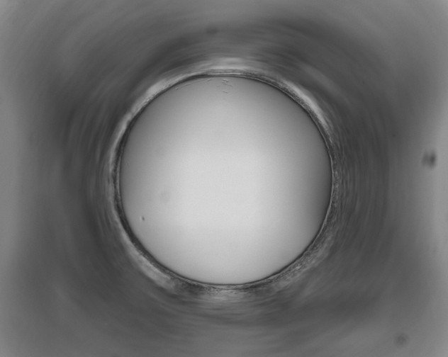 X0000095961475200801110934
