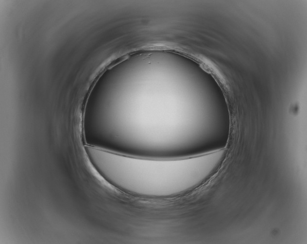 X0000095961476200801110934