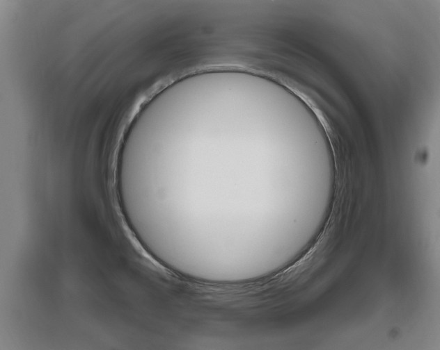 X0000095961477200801110934