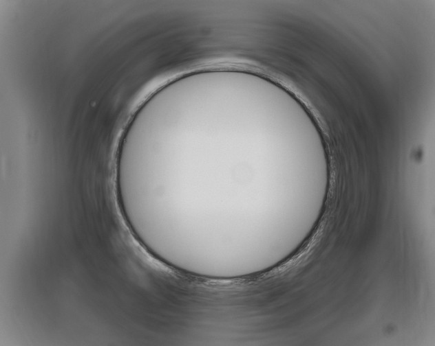 X0000095961478200801110934