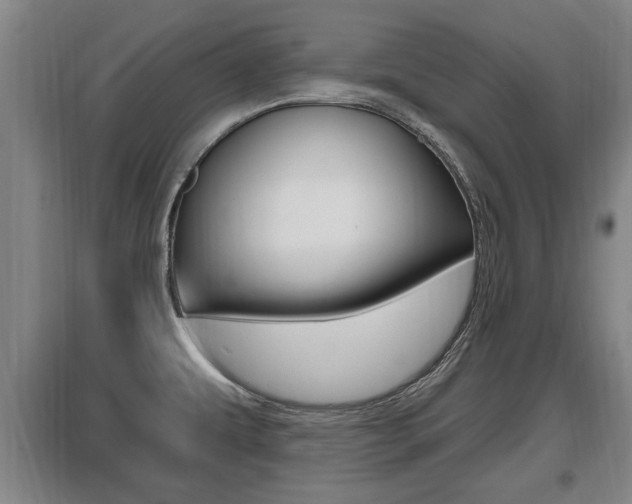 X0000095961479200801110934