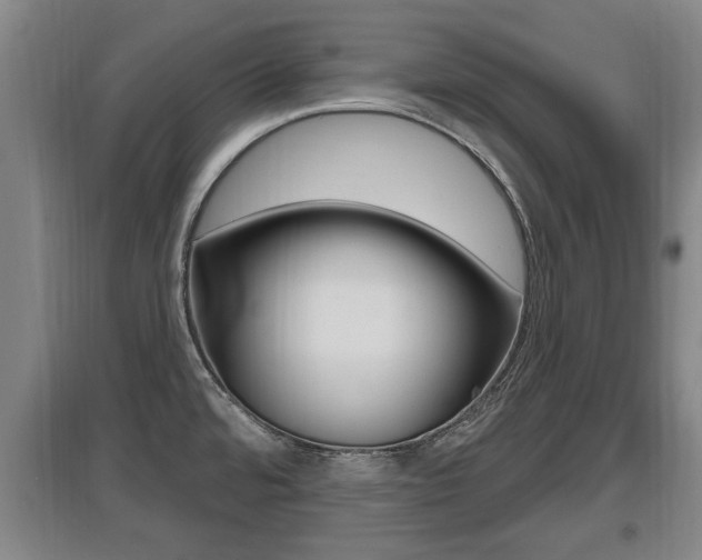X0000095961480200801110934