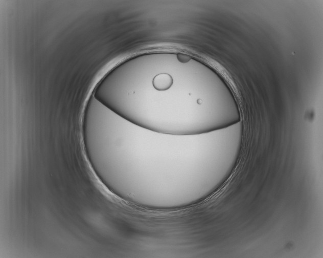 X0000095961482200801110934