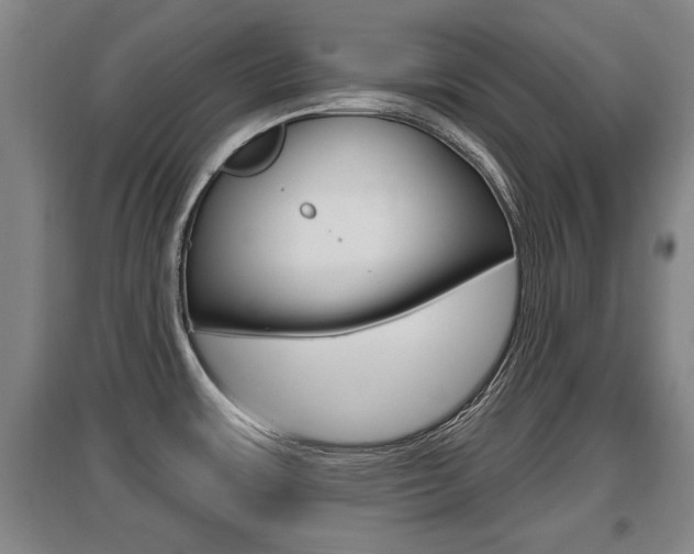 X0000095961483200801110934