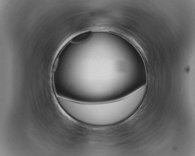 X0000095961484200801110934