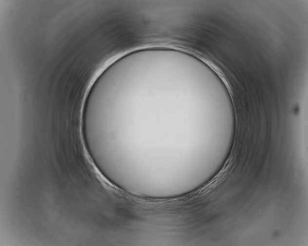 X0000095961485200801110934