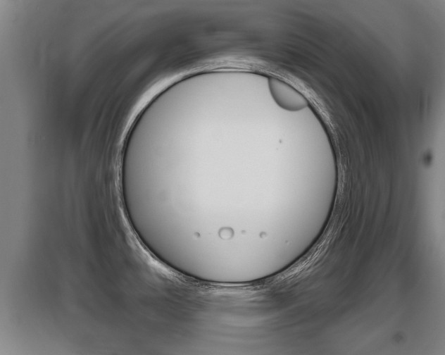 X0000095961486200801110934