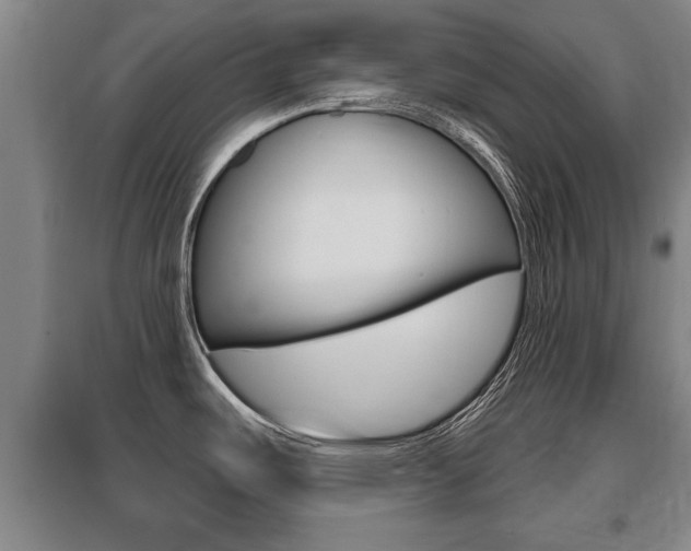 X0000095961487200801110934