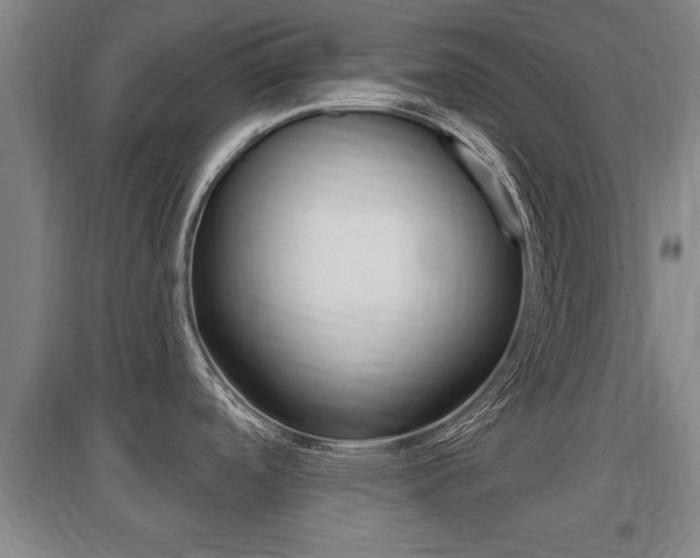 X0000095961488200801110934