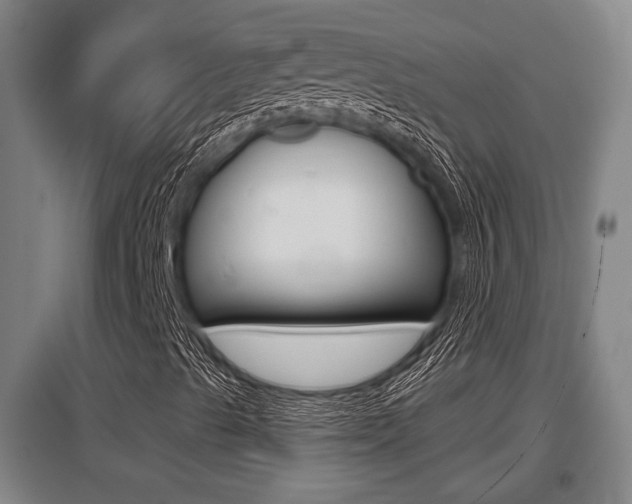 X0000095961489200801110933