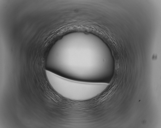 X0000095961490200801110933