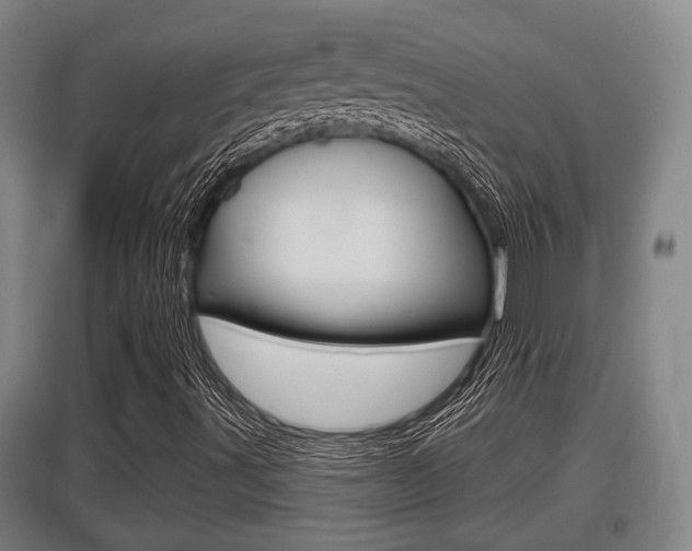 X0000095961491200801110933