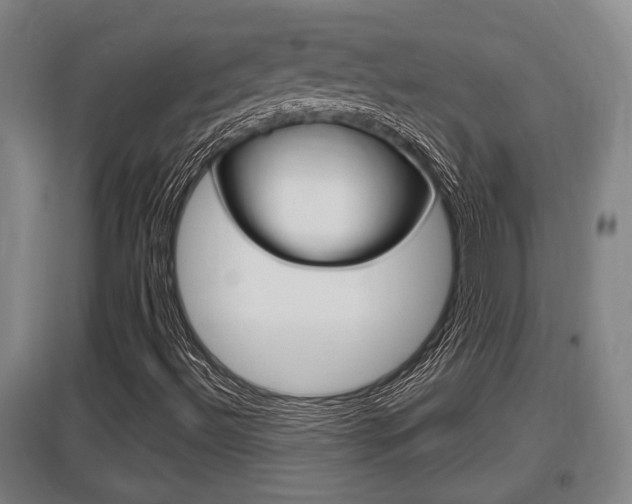 X0000095961492200801110933