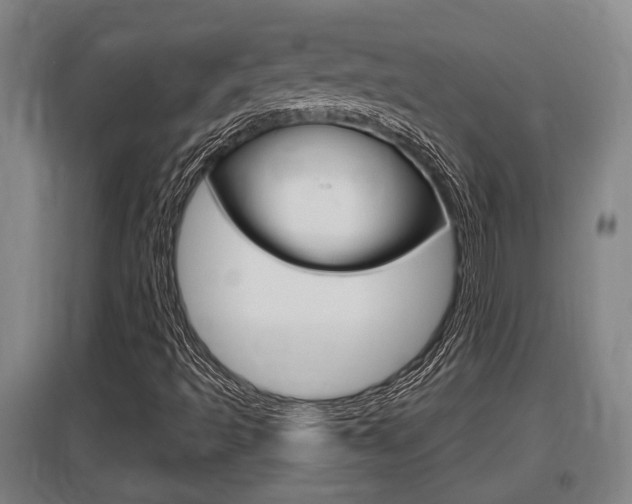 X0000095961493200801110933