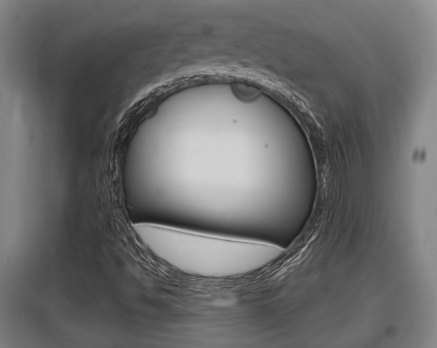 X0000095961494200801110933