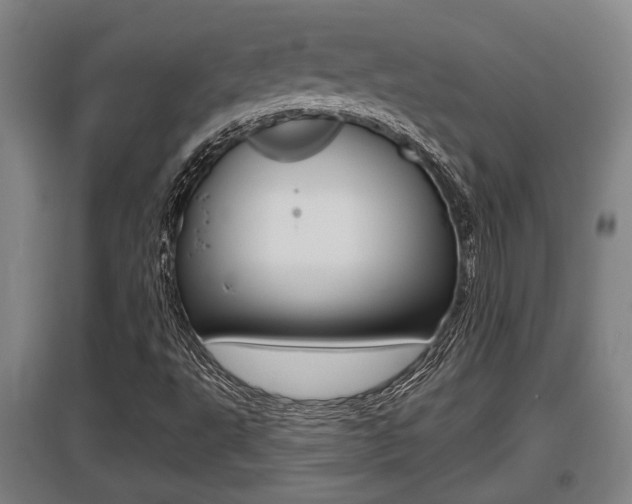 X0000095961495200801110933