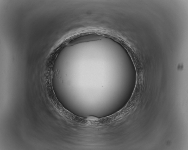 X0000095961496200801110933