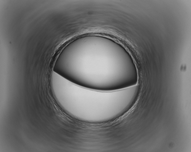X0000095961497200801110933