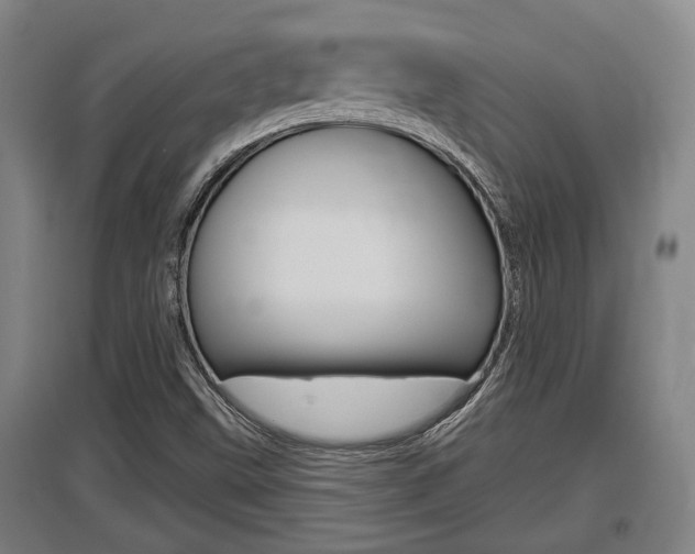 X0000095961499200801110933