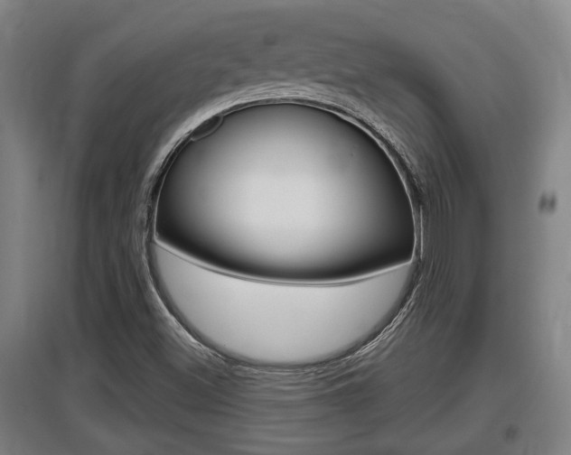 X0000095961500200801110933