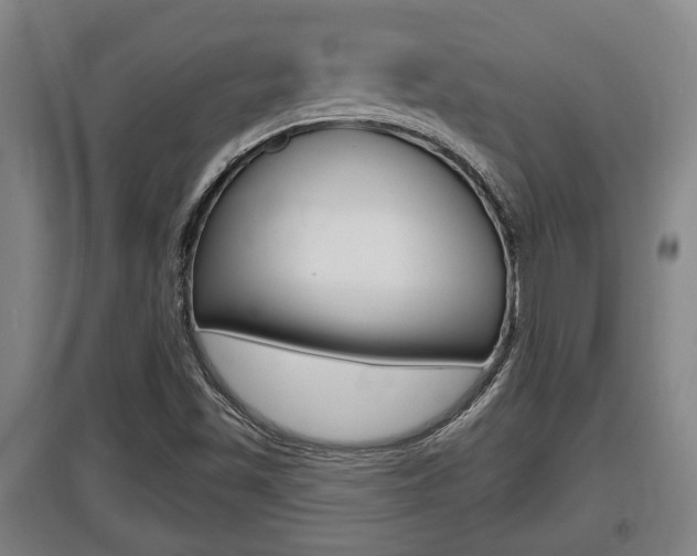 X0000095961501200801110933