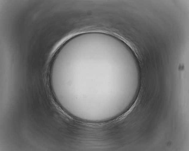 X0000095961502200801110933