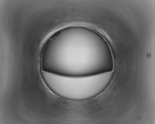 X0000095961504200801110933