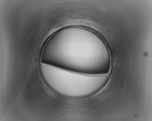 X0000095961505200801110934