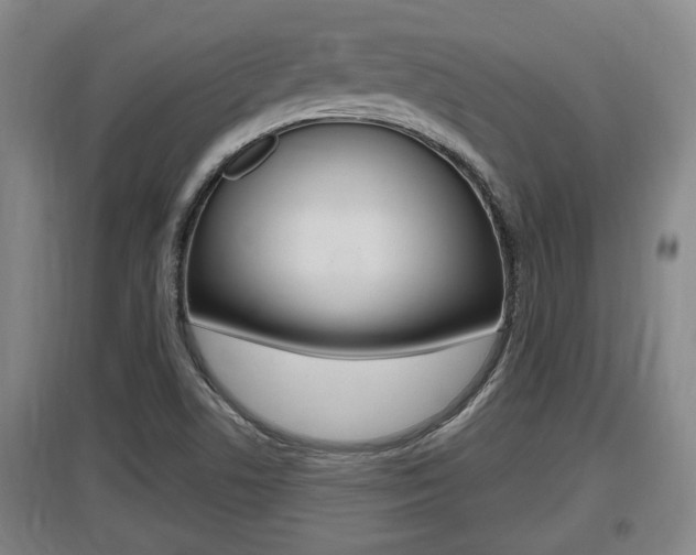 X0000095961506200801110934