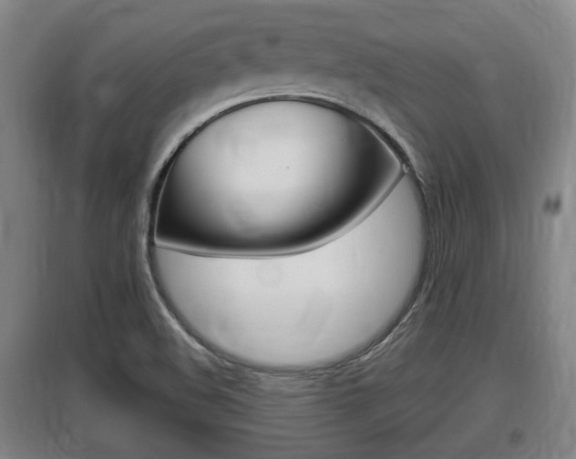 X0000095961508200801110934