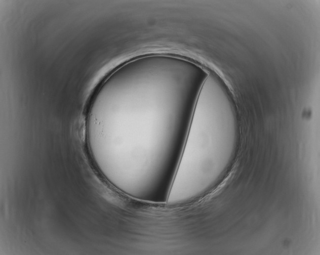 X0000095961509200801110934
