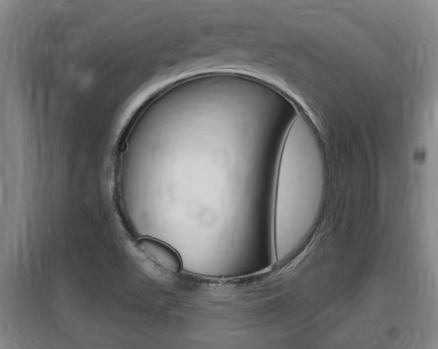 X0000095961511200801110934